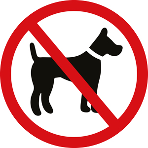 no dogs